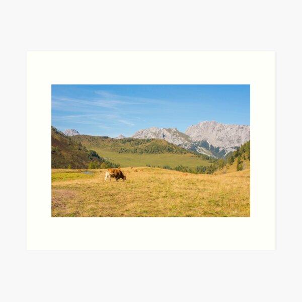 Aperçu de l'œuvre Vache alpine italienne créée et vendue par jojobob.