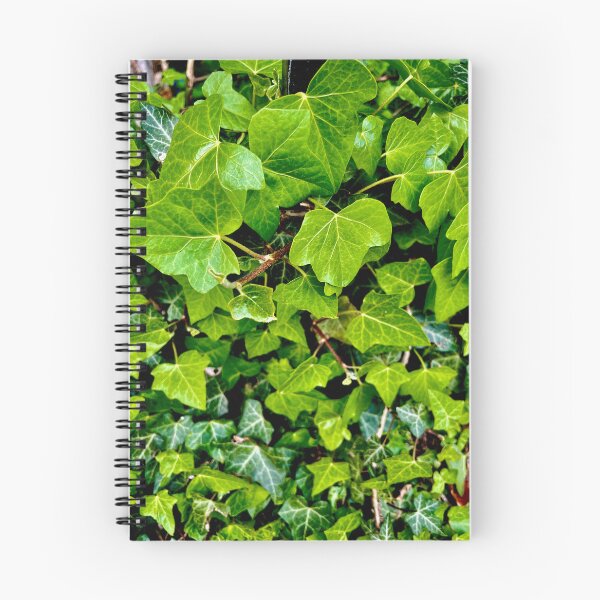 Item preview, Hedera helix designed and sold by NesheYx.