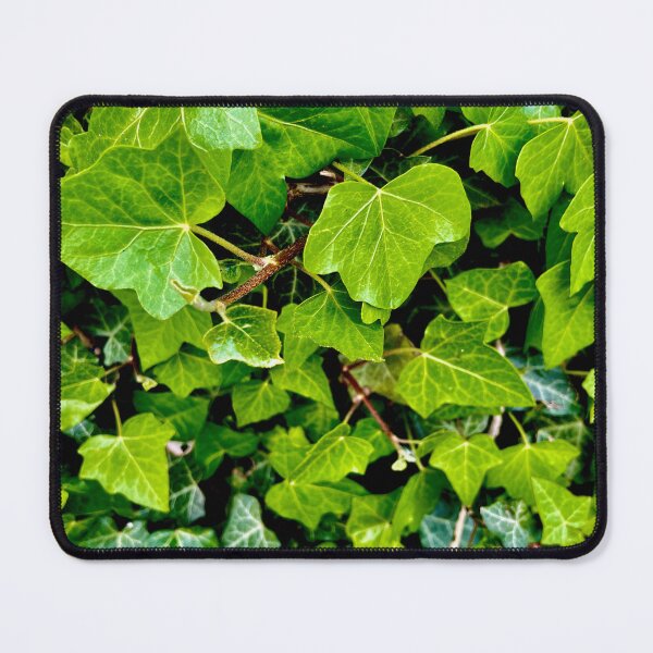 Item preview, Hedera helix designed and sold by NesheYx.