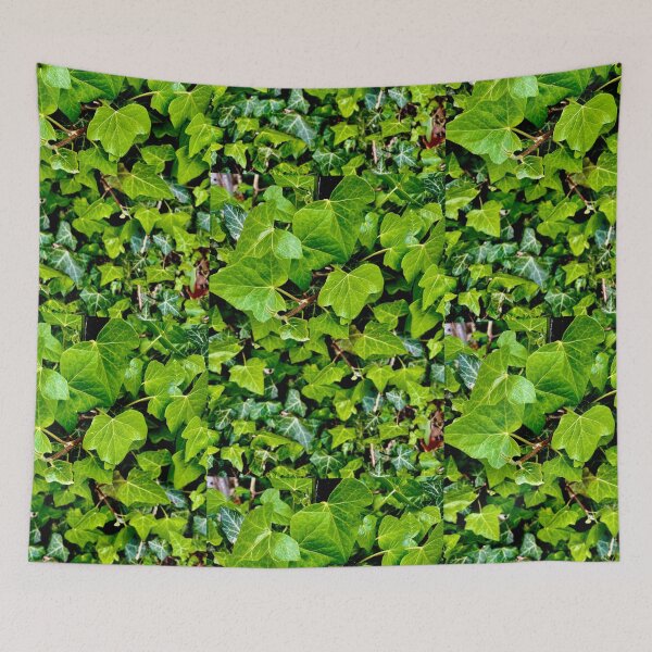 Item preview, Hedera helix designed and sold by NesheYx.