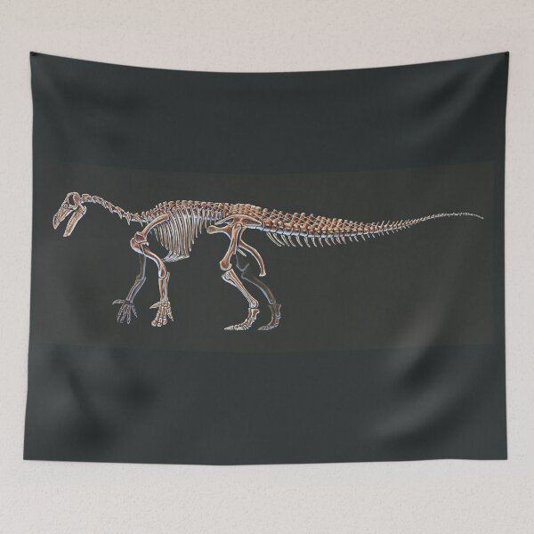 Item preview,  Iguanodon Bernissartensis Skeleton Study (No Labels) designed and sold by Thedragonofdoom.