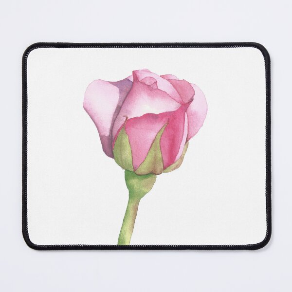 Item preview, Columbus Queen Rose, watercolor designed and sold by SharonRoseR.