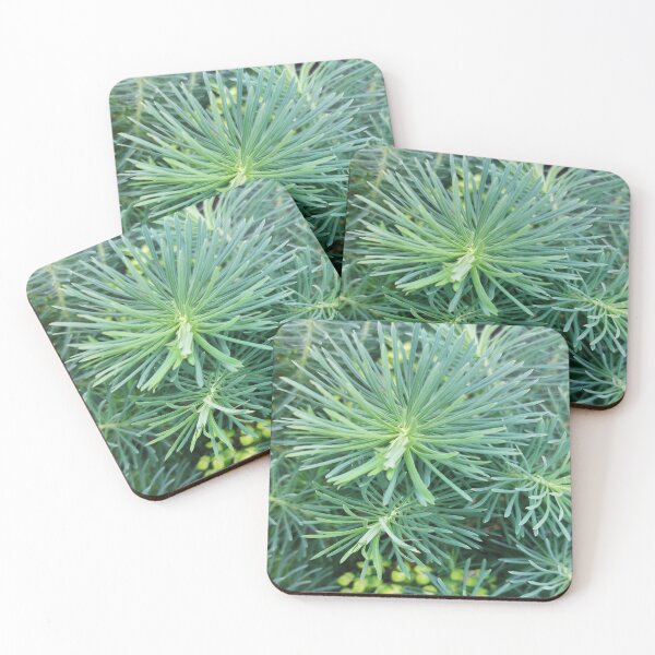 Item preview, Natural pattern of evergreen needles designed and sold by Rostislav Bouda.