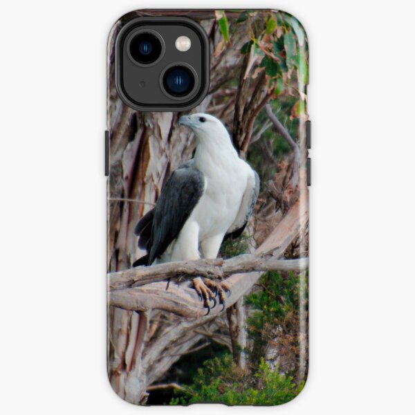 RAPTOR ~ White-bellied Sea-eagle by David Irwin DJIL25QDJCB iPhone Tough Case