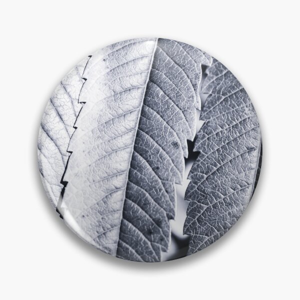 Item preview, Beautiful Staghorn Sumac bush plant colorful leaves in autumn season designed and sold by Grégory DUBUS.