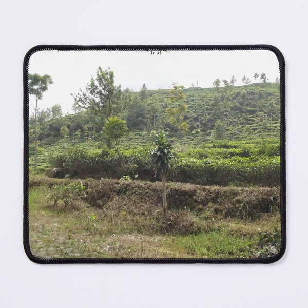 Item preview, alam designed and sold by barrowsole.