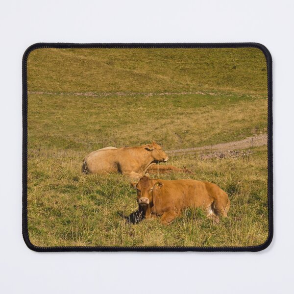 Item preview, Italian Alpine Cows designed and sold by jojobob.