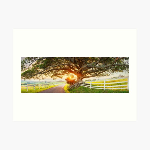 Art Print