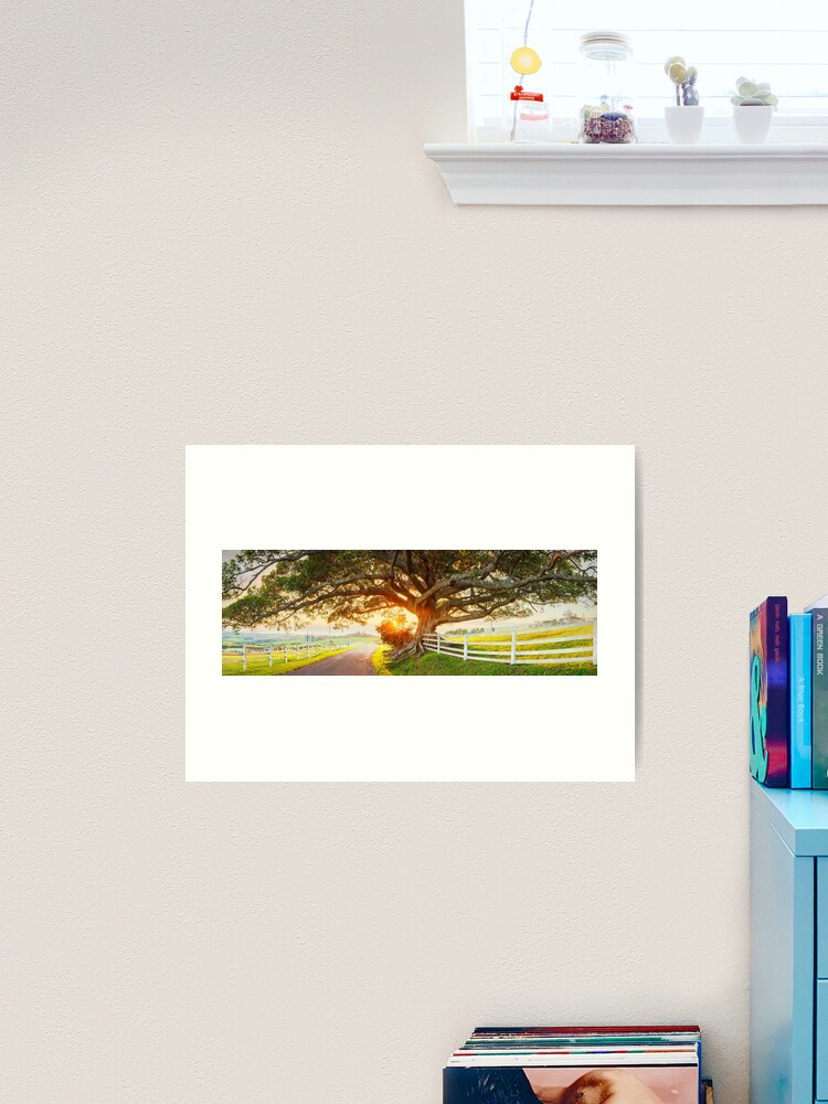 Thumbnail 2 of 3, Art Print, Road to Kiama, New South Wales, Australia designed and sold by Chockstone.