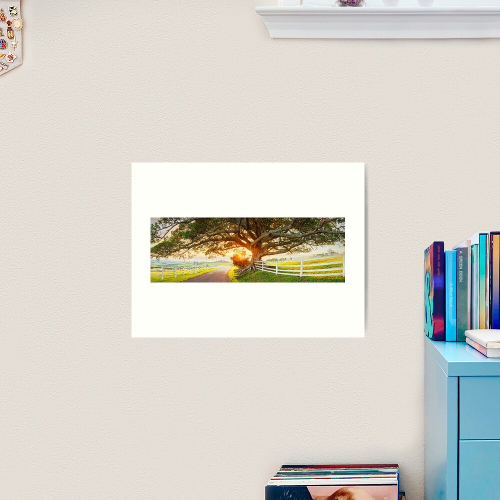 Road to Kiama, New South Wales, Australia Art Print