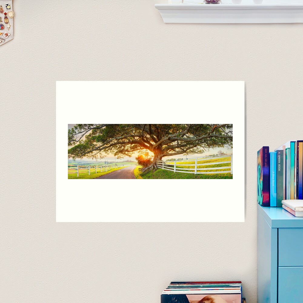 Road to Kiama, New South Wales, Australia Art Print
