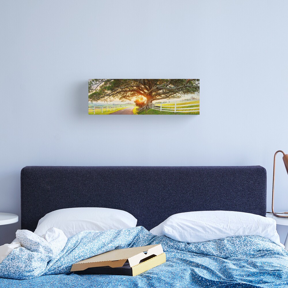 Road to Kiama, New South Wales, Australia Canvas Print