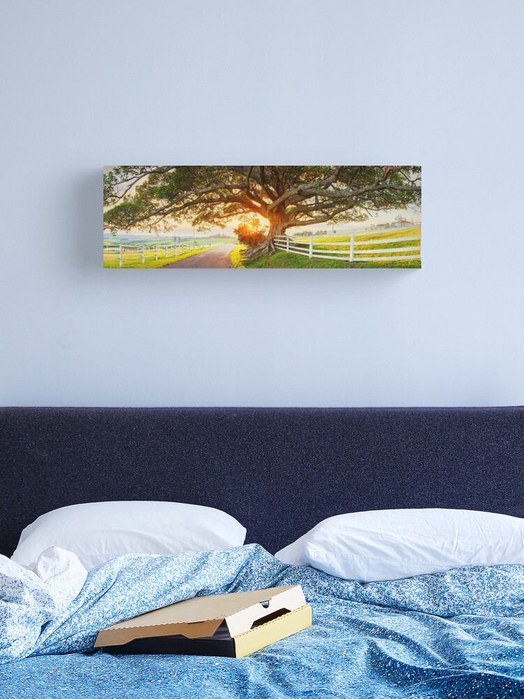 Thumbnail 2 of 3, Canvas Print, Road to Kiama, New South Wales, Australia designed and sold by Chockstone.