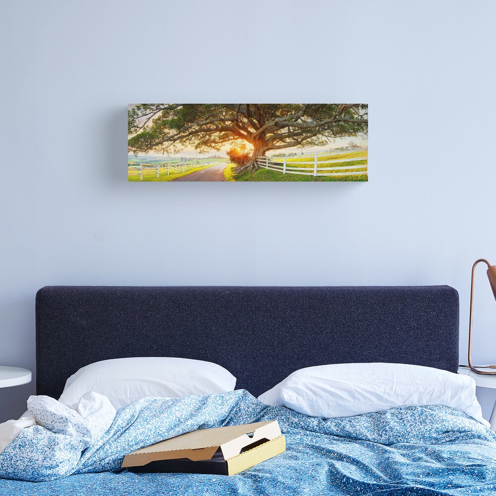 Road to Kiama, New South Wales, Australia Canvas Print
