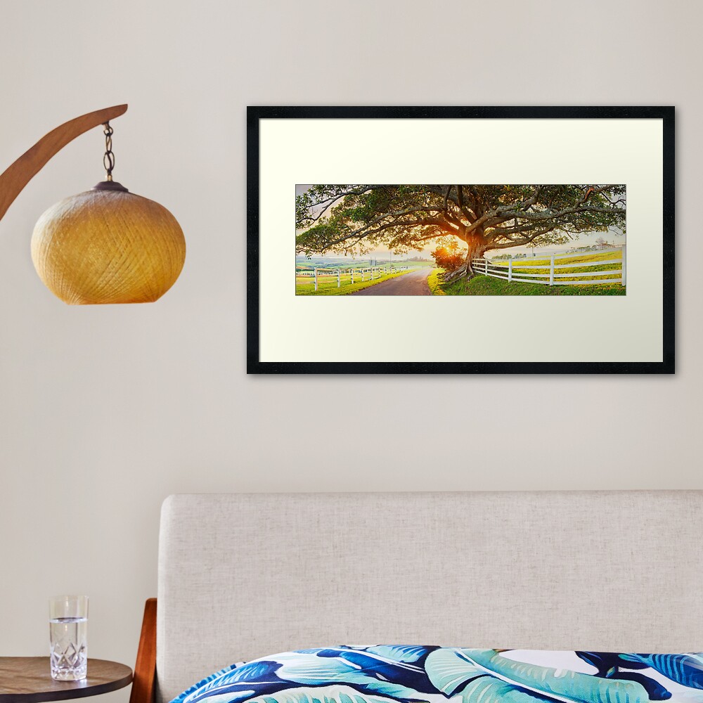 Road to Kiama, New South Wales, Australia Framed Art Print