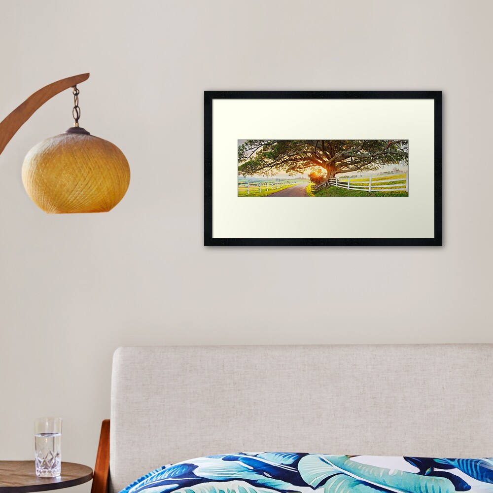 Road to Kiama, New South Wales, Australia Framed Art Print