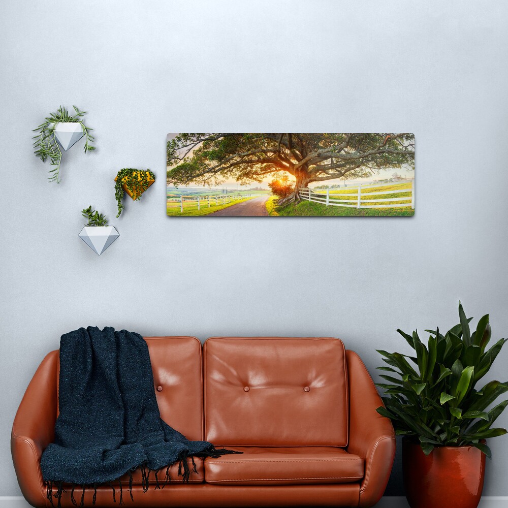 Road to Kiama, New South Wales, Australia Metal Print