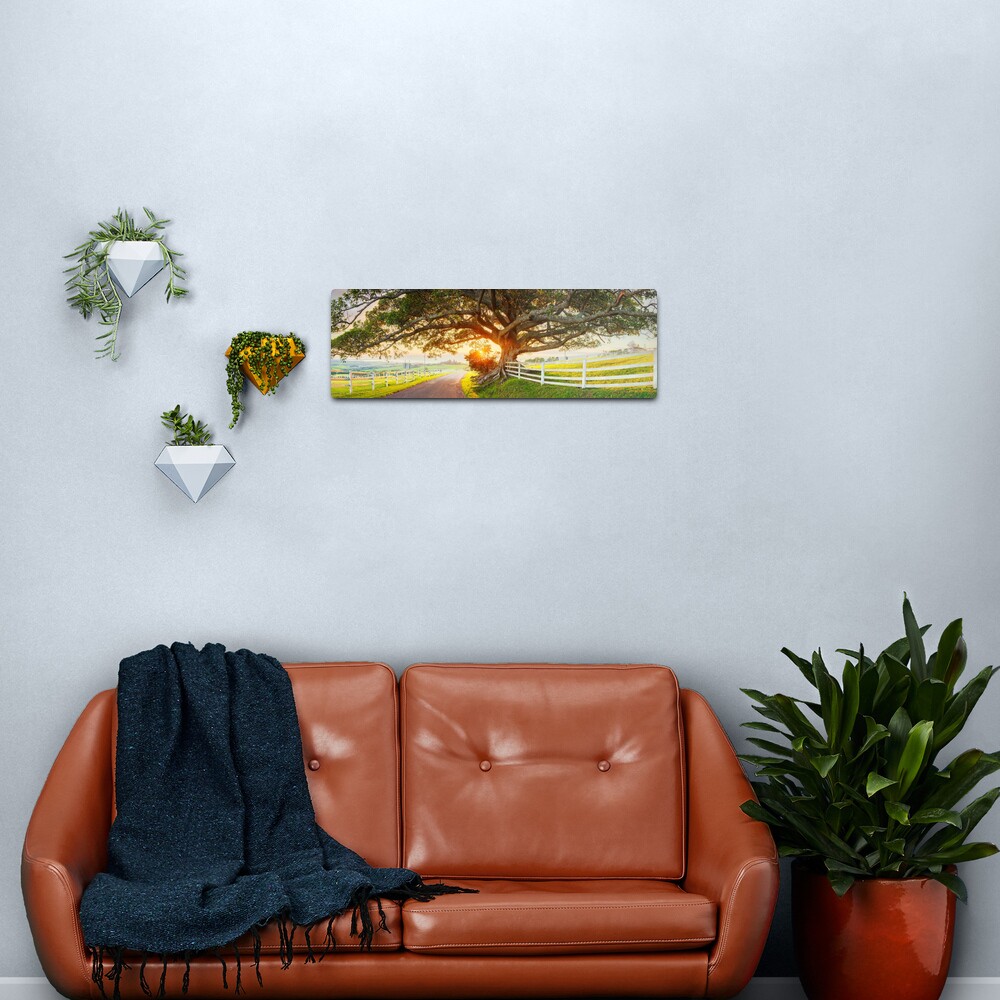 Road to Kiama, New South Wales, Australia Metal Print