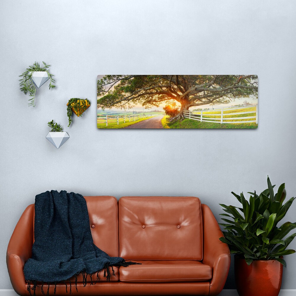 Road to Kiama, New South Wales, Australia Metal Print