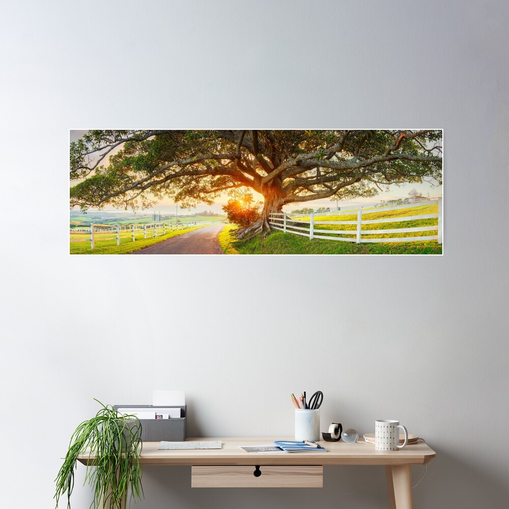 Road to Kiama, New South Wales, Australia Poster