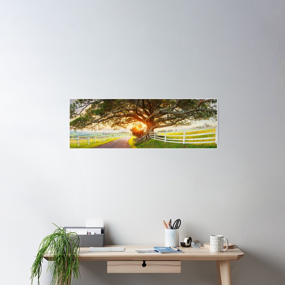 Road to Kiama, New South Wales, Australia Poster