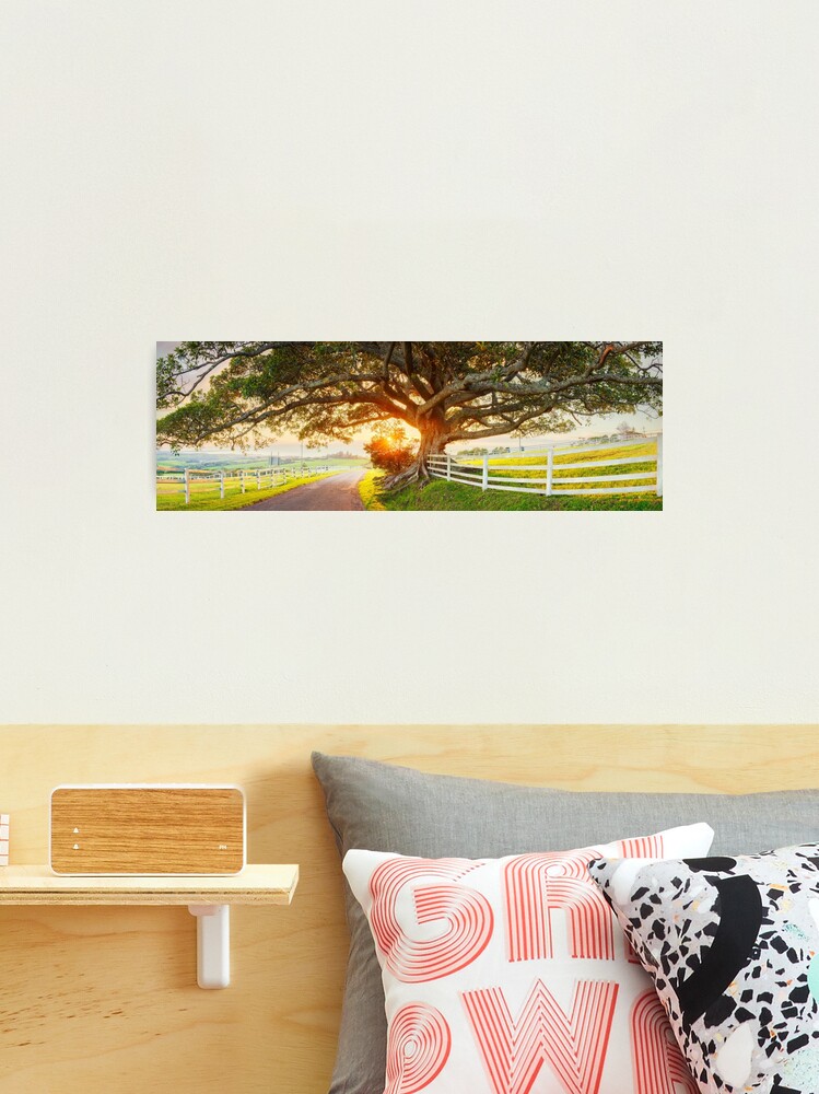 Thumbnail 2 of 3, Photographic Print, Road to Kiama, New South Wales, Australia designed and sold by Chockstone.