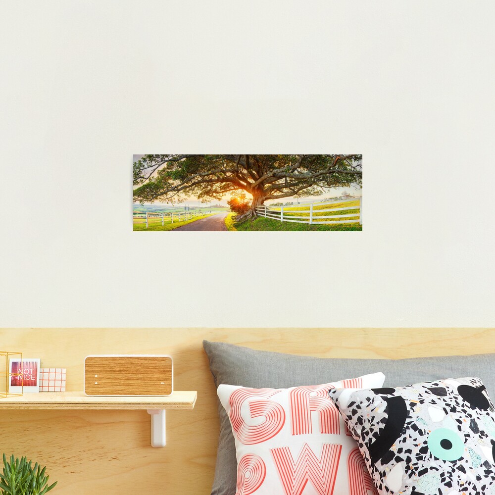 Road to Kiama, New South Wales, Australia Photographic Print