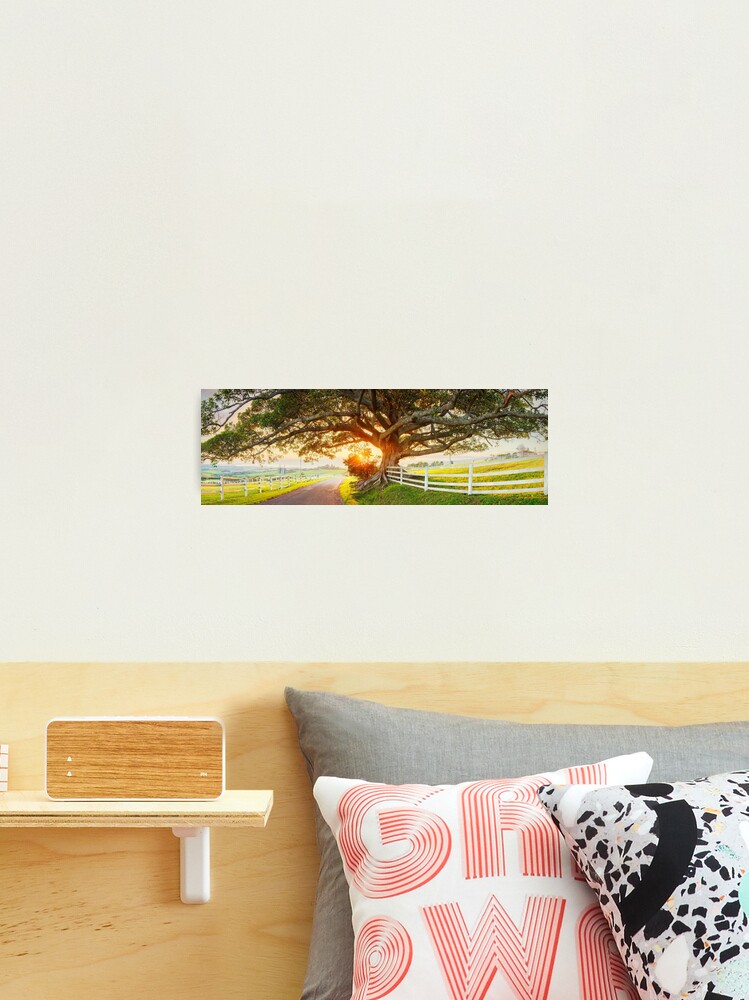 Thumbnail 2 of 3, Photographic Print, Road to Kiama, New South Wales, Australia designed and sold by Chockstone.