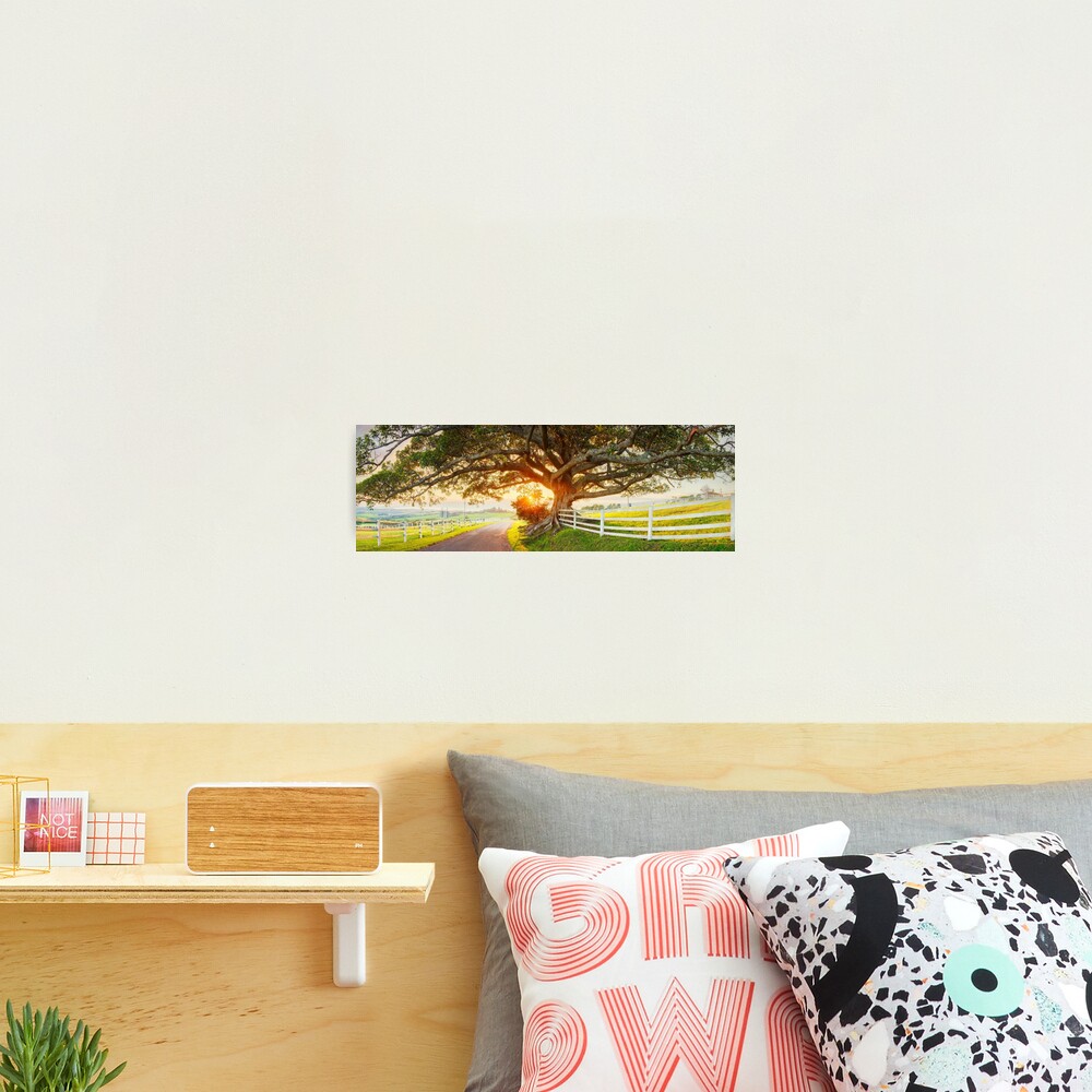 Road to Kiama, New South Wales, Australia Photographic Print