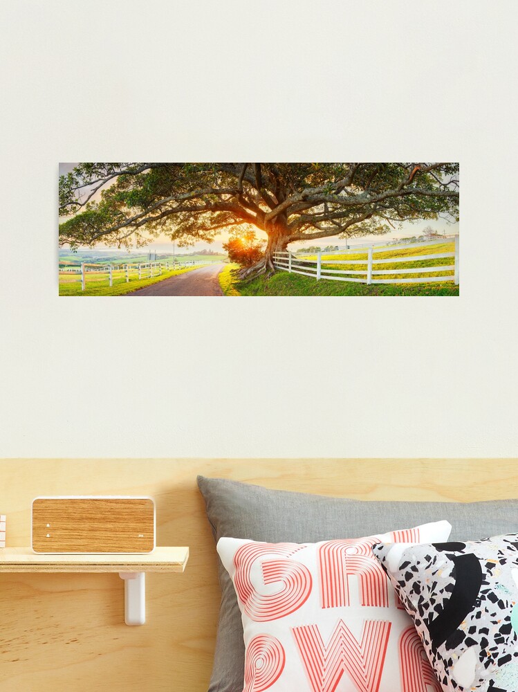 Thumbnail 2 of 3, Photographic Print, Road to Kiama, New South Wales, Australia designed and sold by Chockstone.