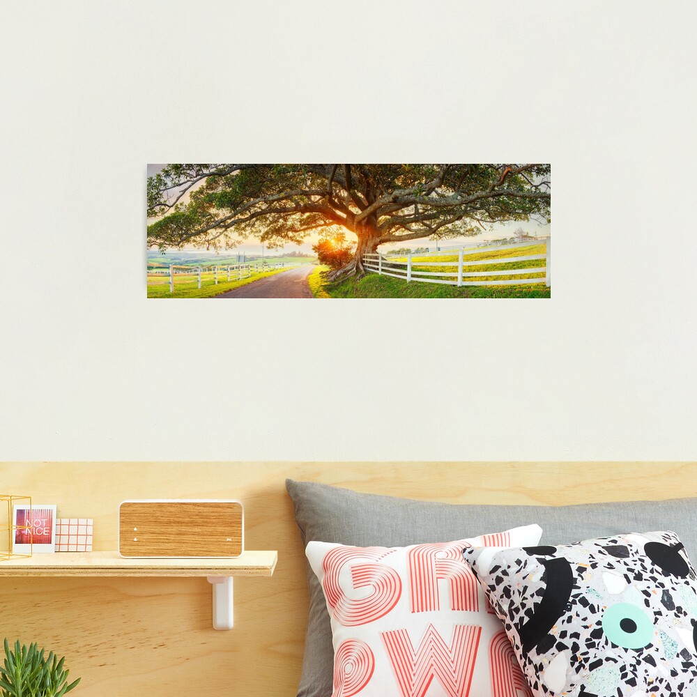 Road to Kiama, New South Wales, Australia Photographic Print