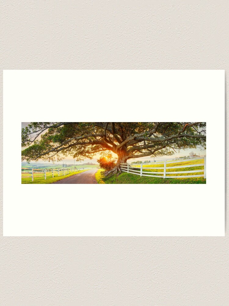 Thumbnail 1 of 3, Art Print, Road to Kiama, New South Wales, Australia designed and sold by Chockstone.