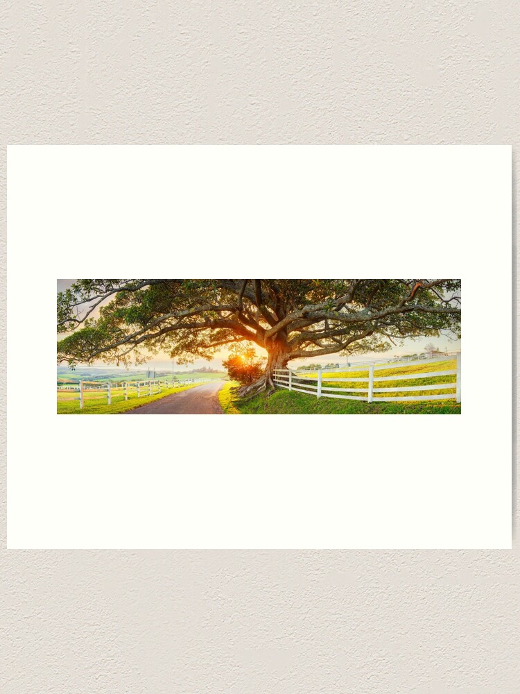 Thumbnail 1 of 3, Art Print, Road to Kiama, New South Wales, Australia designed and sold by Chockstone.