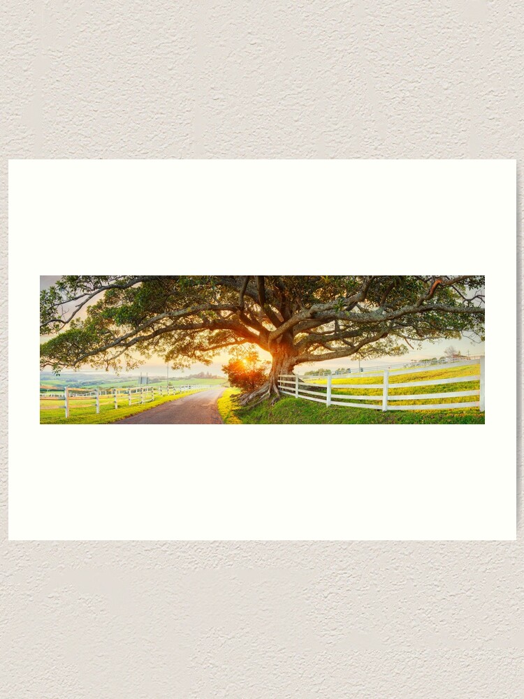 Thumbnail 1 of 3, Art Print, Road to Kiama, New South Wales, Australia designed and sold by Chockstone.