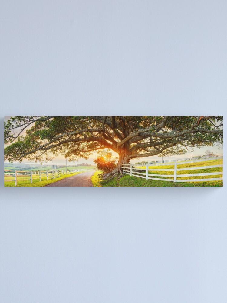 Alternate view of Road to Kiama, New South Wales, Australia Canvas Print