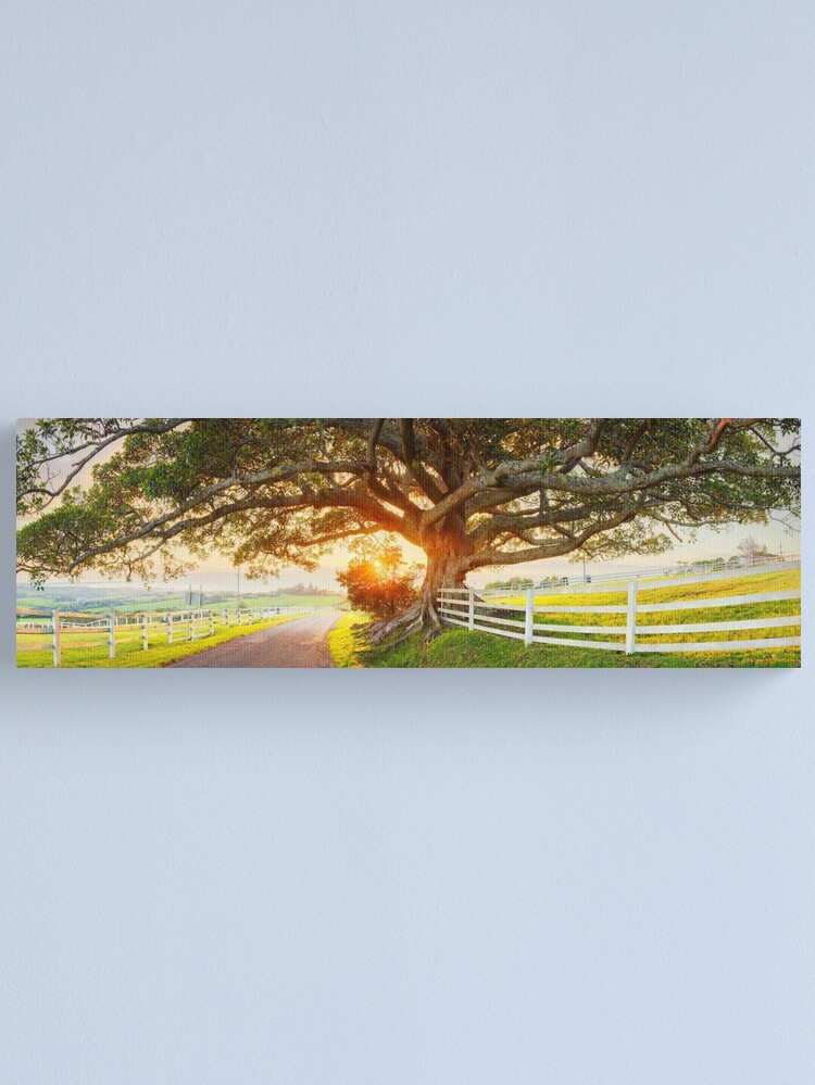 Alternate view of Road to Kiama, New South Wales, Australia Canvas Print
