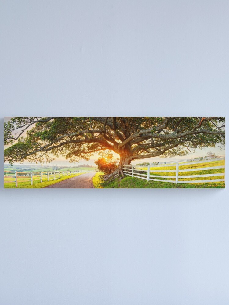 Thumbnail 1 of 3, Canvas Print, Road to Kiama, New South Wales, Australia designed and sold by Chockstone.
