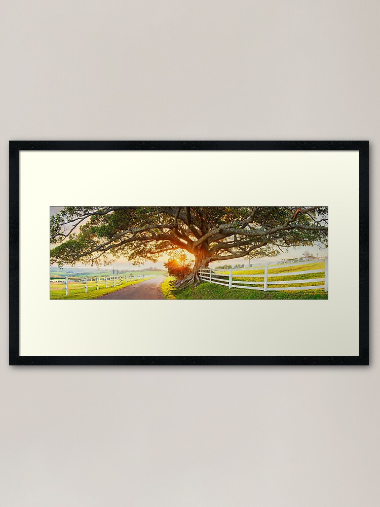 Thumbnail 1 of 7, Framed Art Print, Road to Kiama, New South Wales, Australia designed and sold by Chockstone.