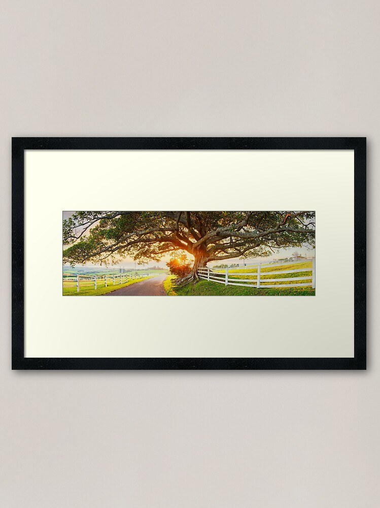 Alternate view of Road to Kiama, New South Wales, Australia Framed Art Print