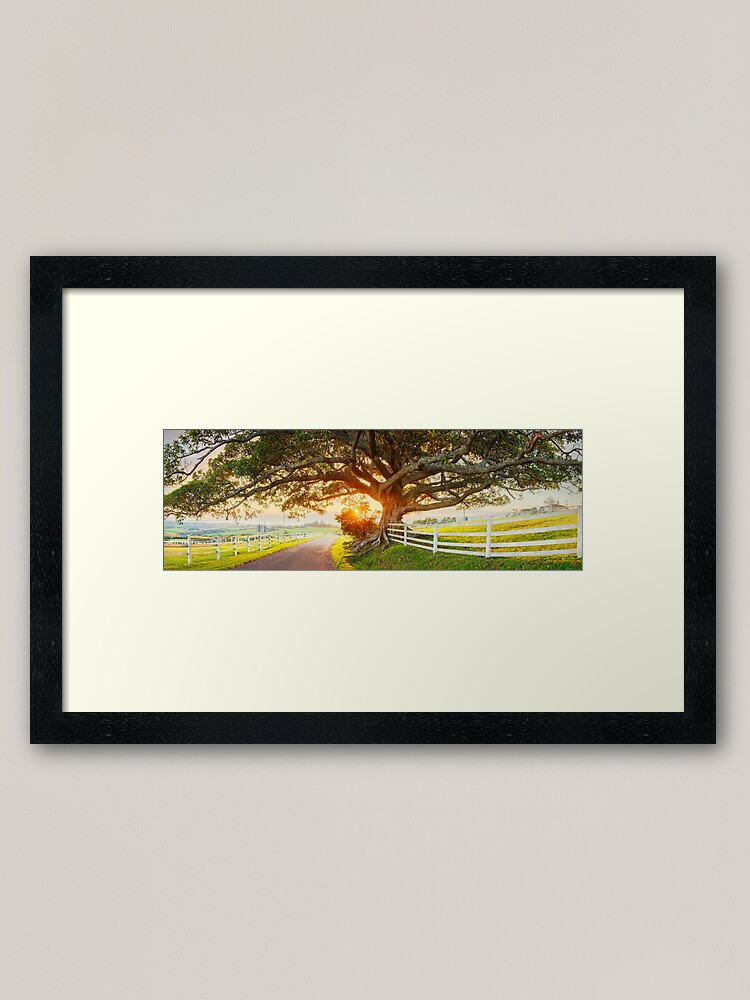 Thumbnail 1 of 7, Framed Art Print, Road to Kiama, New South Wales, Australia designed and sold by Chockstone.