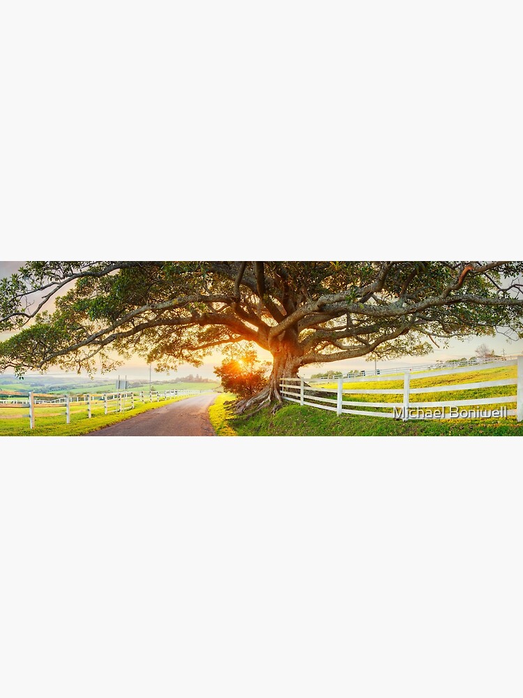 Thumbnail 3 of 3, Photographic Print, Road to Kiama, New South Wales, Australia designed and sold by Chockstone.