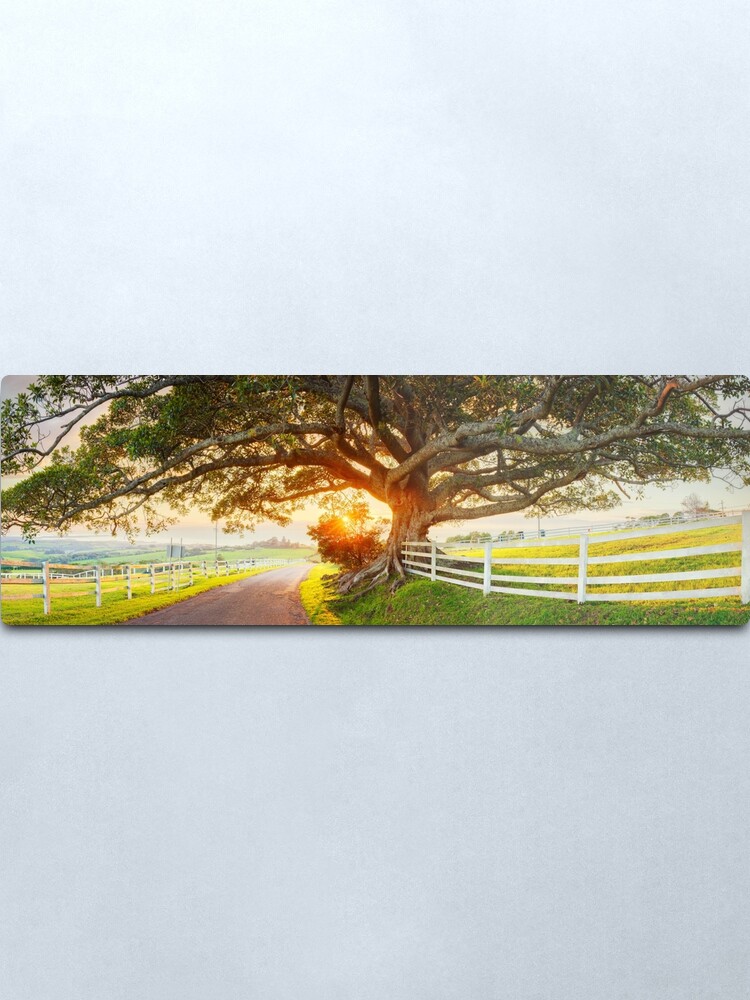 Alternate view of Road to Kiama, New South Wales, Australia Metal Print