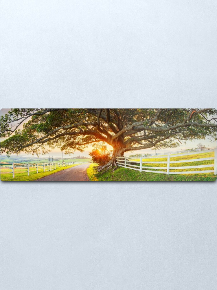 Alternate view of Road to Kiama, New South Wales, Australia Metal Print