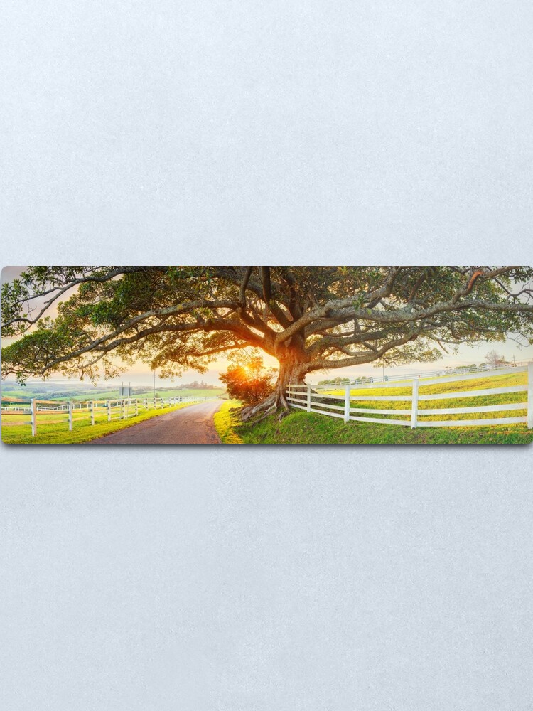 Alternate view of Road to Kiama, New South Wales, Australia Metal Print