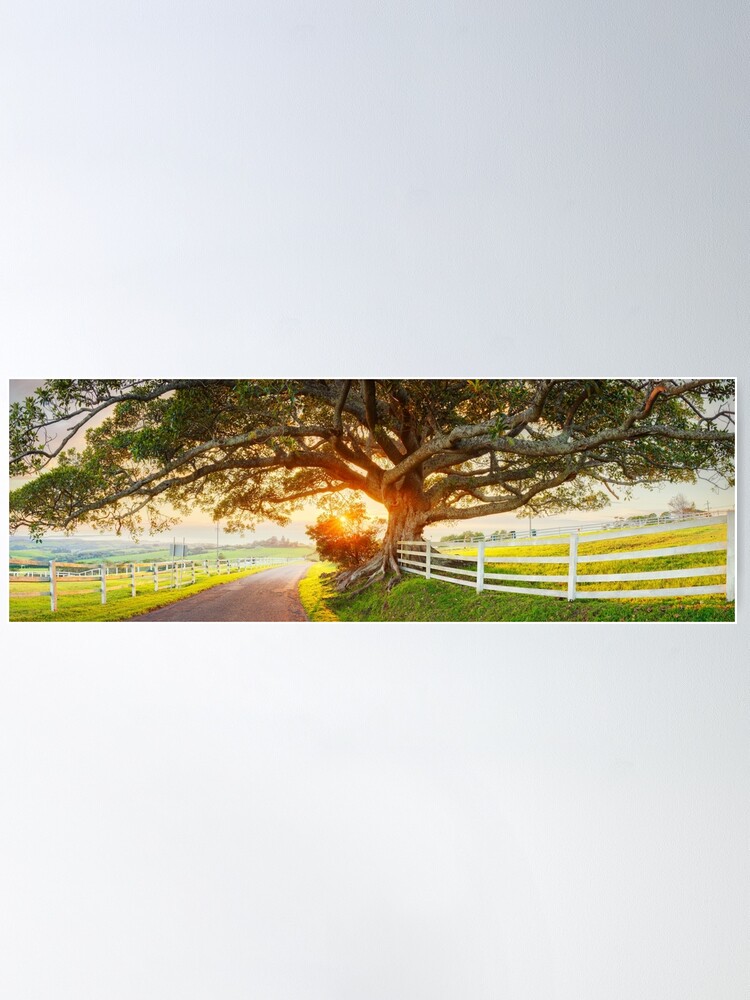 Thumbnail 1 of 3, Poster, Road to Kiama, New South Wales, Australia designed and sold by Chockstone.