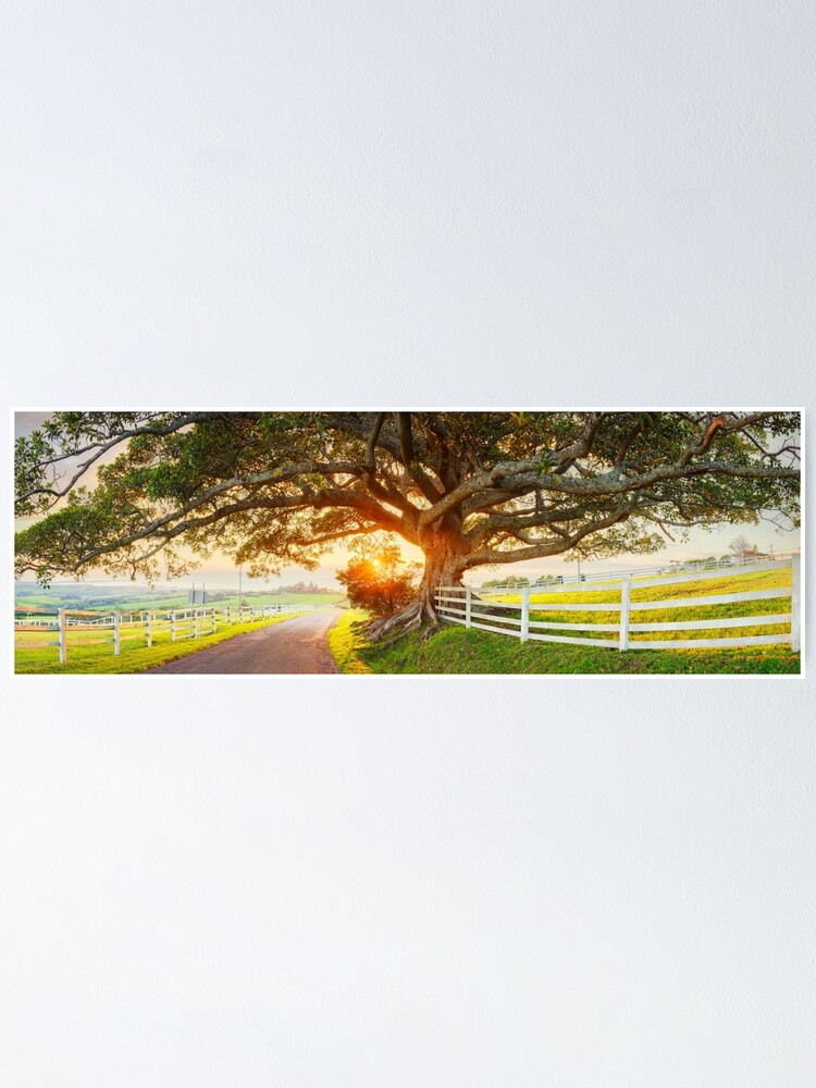 Thumbnail 1 of 3, Poster, Road to Kiama, New South Wales, Australia designed and sold by Chockstone.