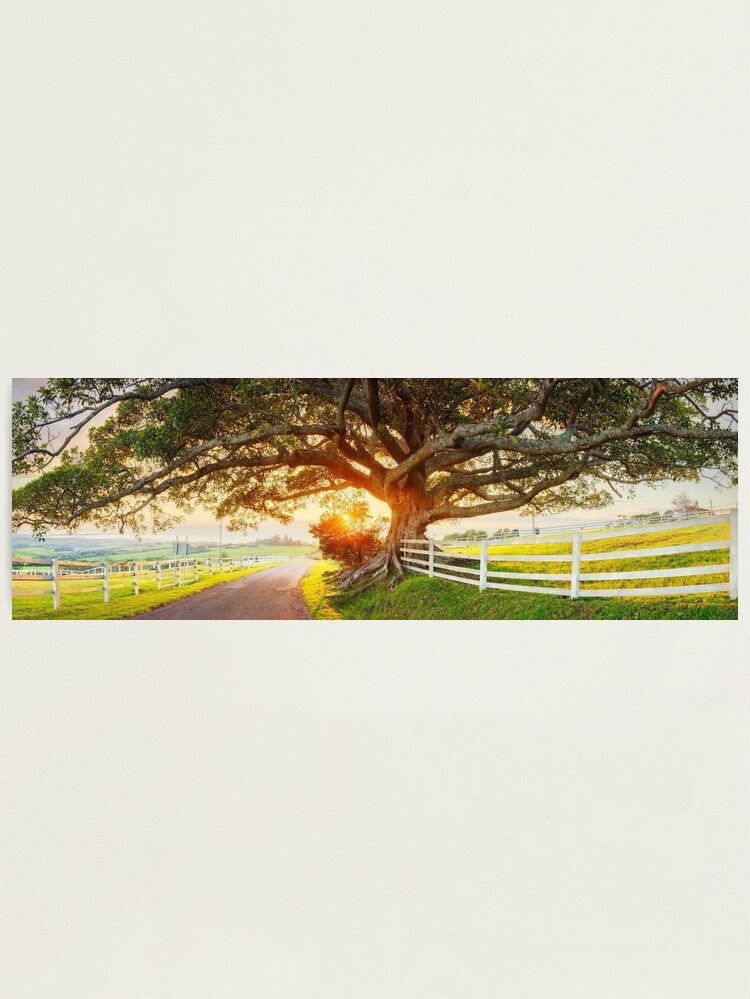 Thumbnail 1 of 3, Photographic Print, Road to Kiama, New South Wales, Australia designed and sold by Chockstone.