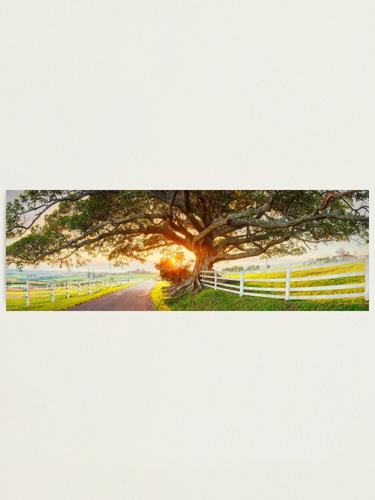 Thumbnail 1 of 3, Photographic Print, Road to Kiama, New South Wales, Australia designed and sold by Chockstone.