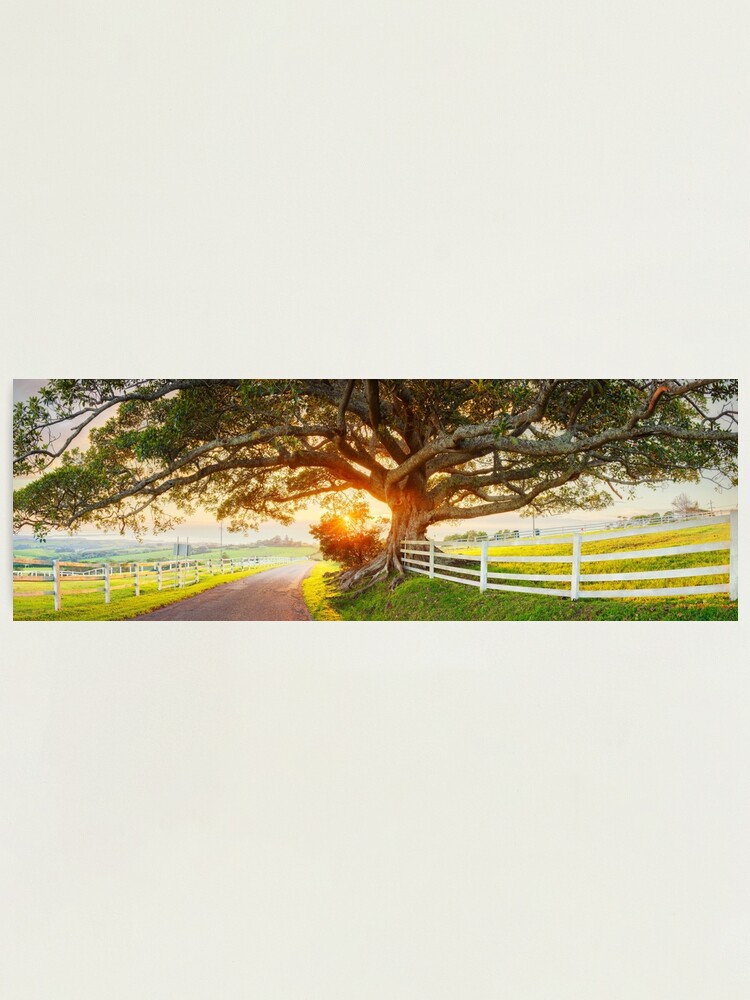 Thumbnail 1 of 3, Photographic Print, Road to Kiama, New South Wales, Australia designed and sold by Chockstone.