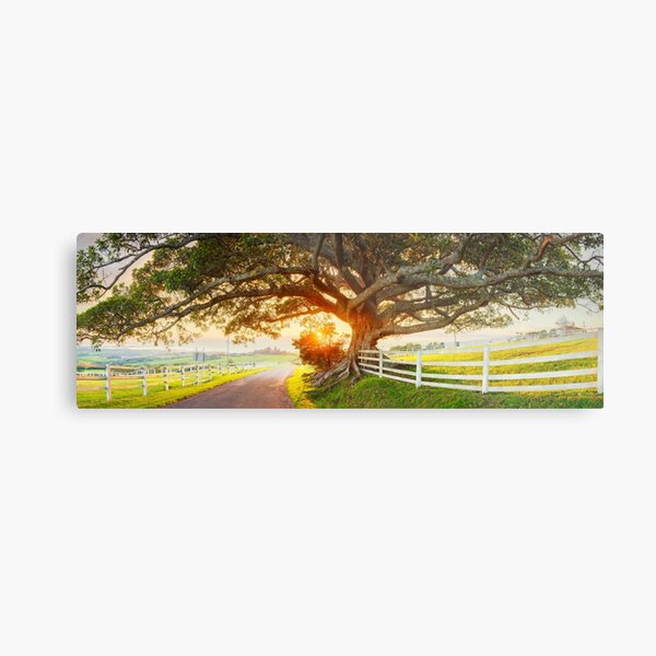 Road to Kiama, New South Wales, Australia Metal Print